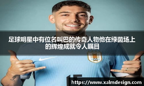 BB贝博官方网站